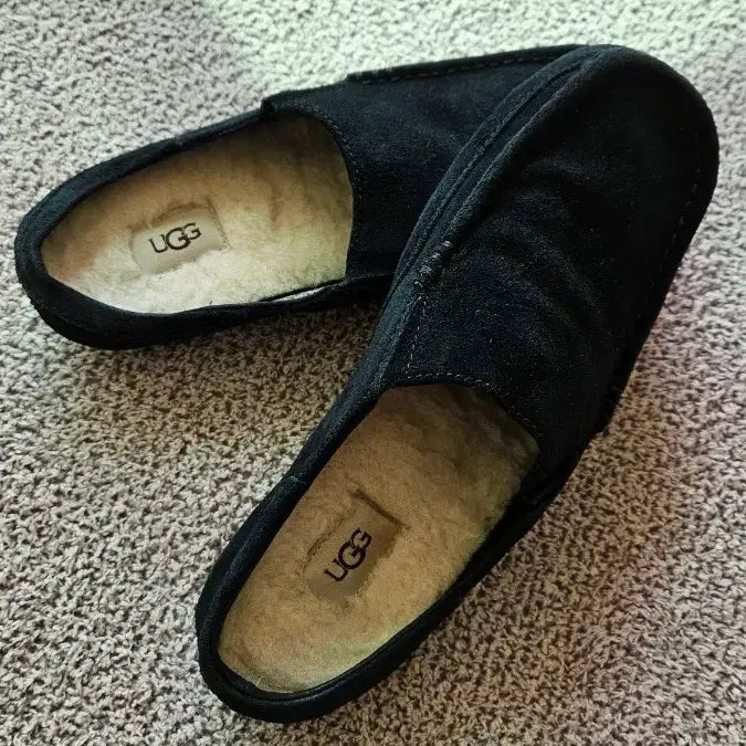 [BUNJANG] 남상 어그로퍼 / 남상 어그로퍼