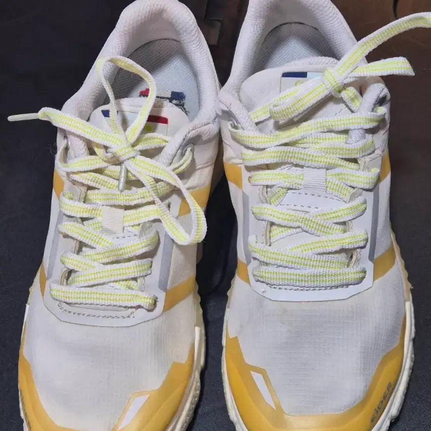 [BUNJANG] Aider Fandom Challenge Trekking Shoes / 아이더 팬덤 첼린지  트레킹 운동화