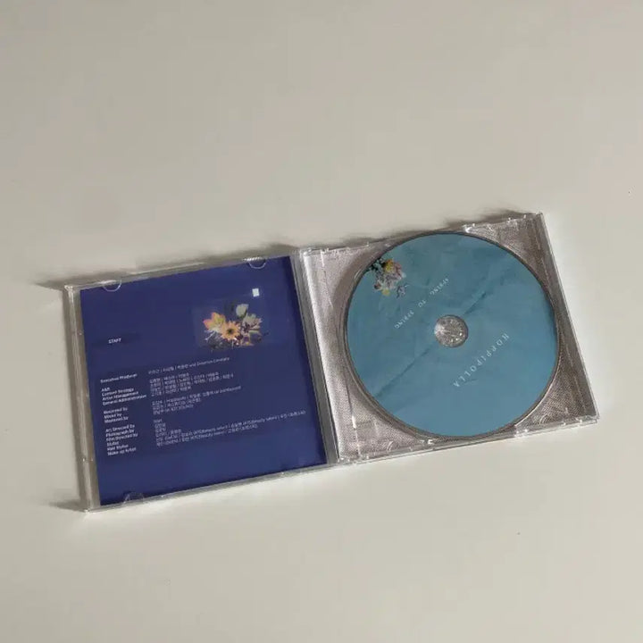 [BUNJANG] Hoppipolla Spring to Spring Album / 호피폴라 스투스 spring to spring