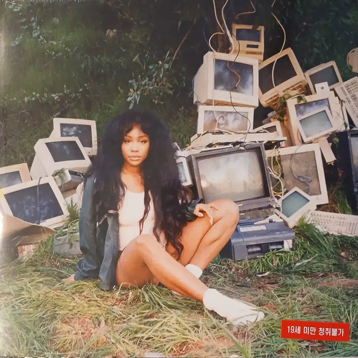 [BUNJANG] SZA Ctrl Vinyl Record / [미개봉LP] SZA   Ctrl