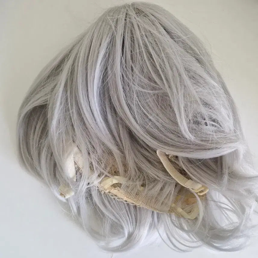 [BUNJANG] Gray Tone Short Hair Wig / 회색 톤 단발 가발