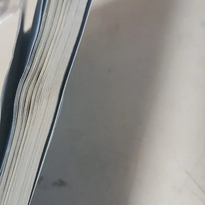 [BUNJANG] Generic Umbrella / 빌어먹을우산