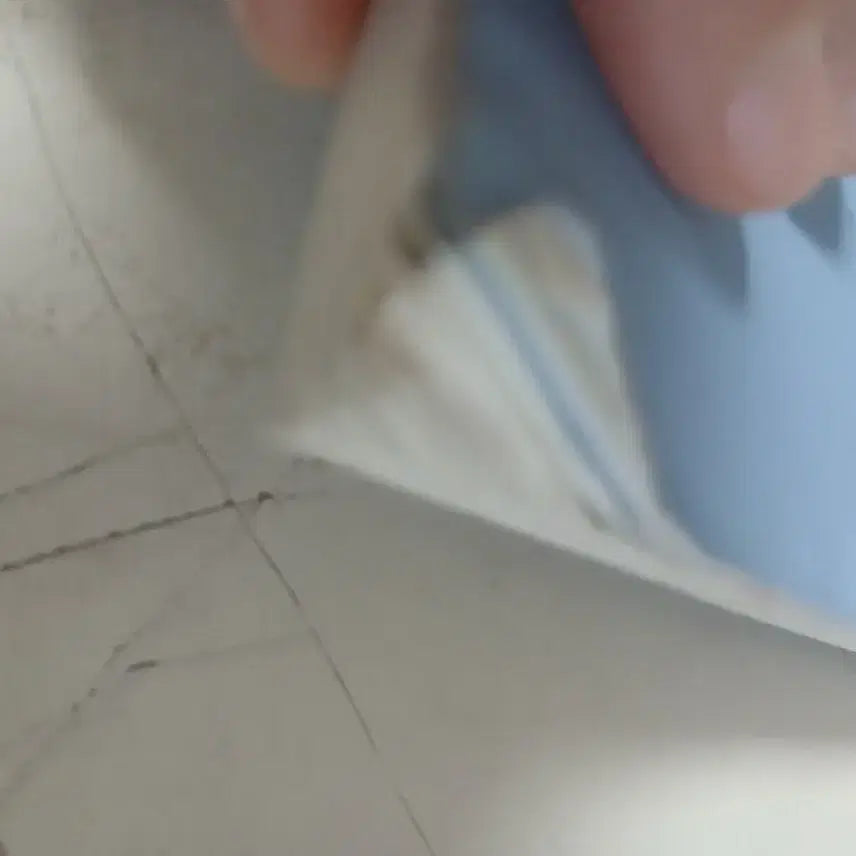 [BUNJANG] Generic Umbrella / 빌어먹을우산