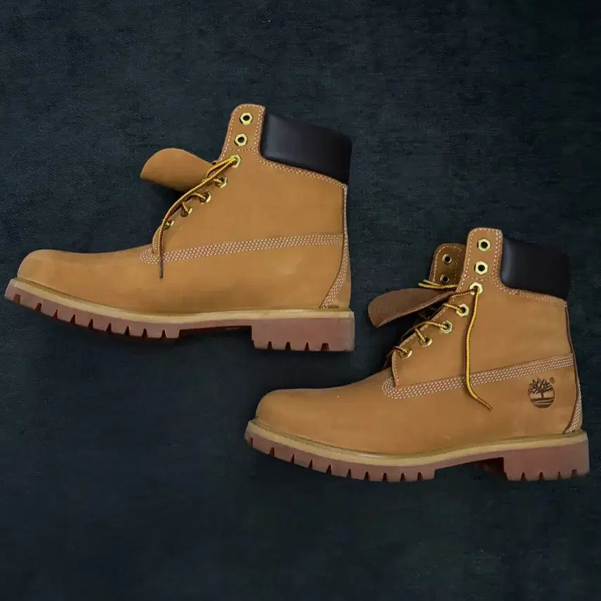[BUNJANG] Timberland 6-Inch Waterproof Boots Medium / 팀버랜드 6인치 워터프루프 부츠 미디움