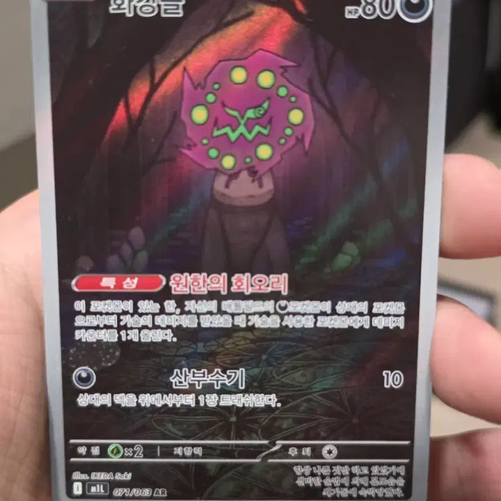 [SOLD OUT] 포켓몬카드 화강돌 AR
