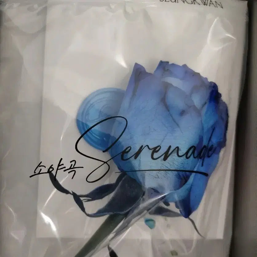 [BUNJANG] SEVENTEEN DK Seungkwan DxS Broadcast Kit / 세븐틴 DxS 승관 도겸 공방 포카 역조공 키트 양도