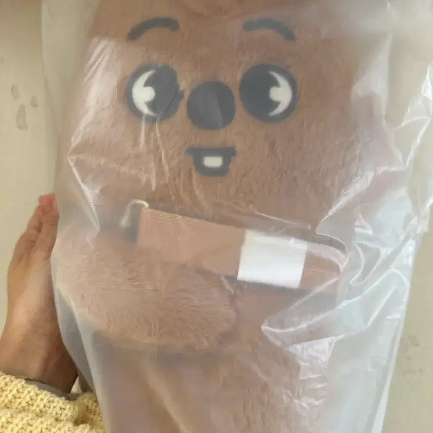 [BUNJANG] Stray Kids SKZOO Plush Bag Doll / 스트레이키즈 SKZOO 플러쉬 가방 인형