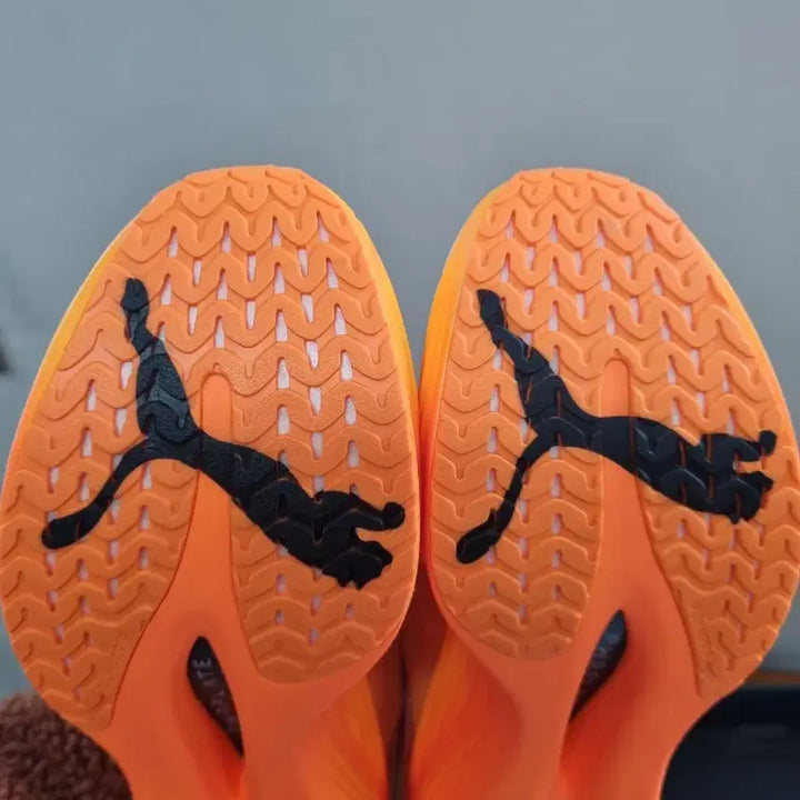 [BUNJANG] Puma Deviate Nitro Elite 3 Running Shoes / (270)푸마 디비에이트 나이트로 엘리트3