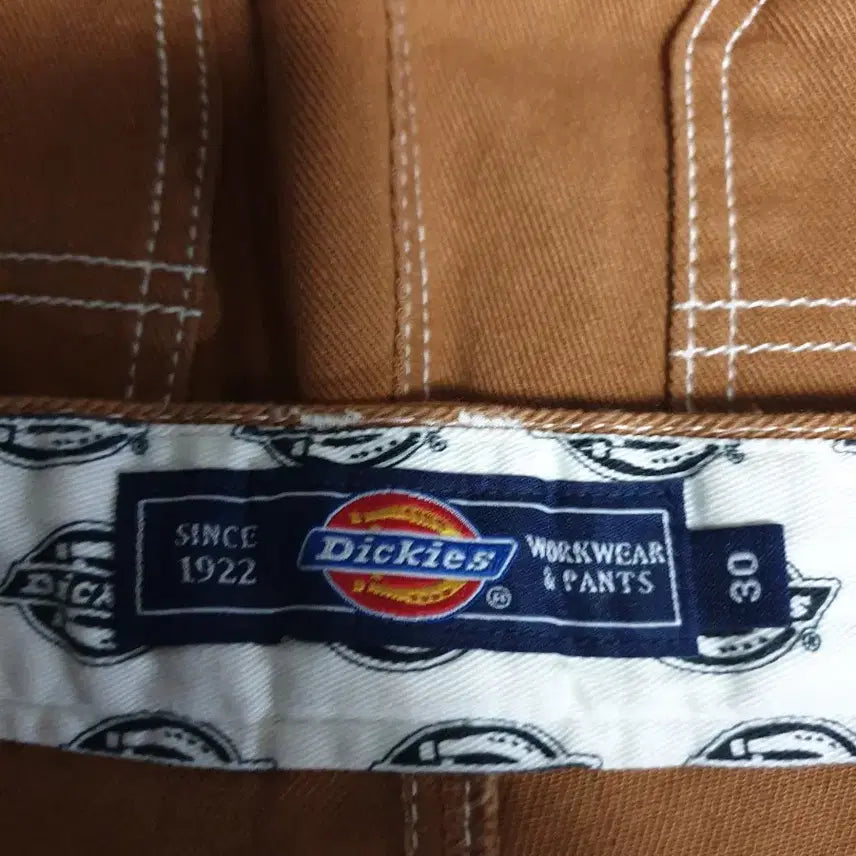 [BUNJANG] Dickies Carpenter Work Pants Brown (30) / 디키즈 스티치 카펜터 워크팬츠 브라운 (30)