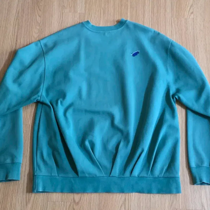 [BUNJANG] ADER ERROR Emerald Green Sweatshirt / 아더에러 에메랄드색 맨투맨