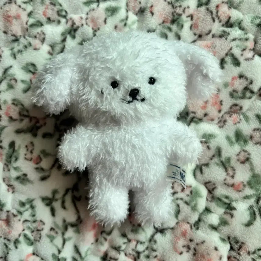 [BUNJANG] Zenmong / 젠몽이