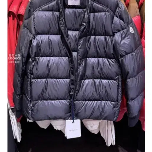 [BUNJANG] Moncler Bazena Short Padded Jacket / 몽클레어 바제나 쇼트 패딩