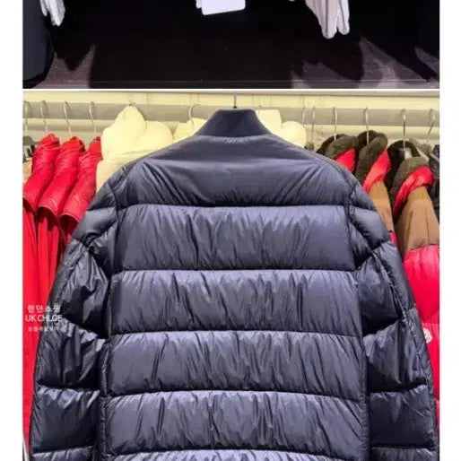 [BUNJANG] Moncler Bazena Short Padded Jacket / 몽클레어 바제나 쇼트 패딩