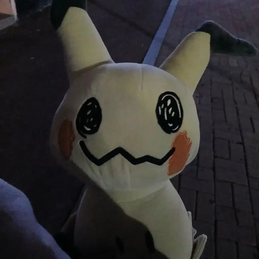 [BUNJANG] Takarakyu Official Plush Doll / 따라큐 정품 인형