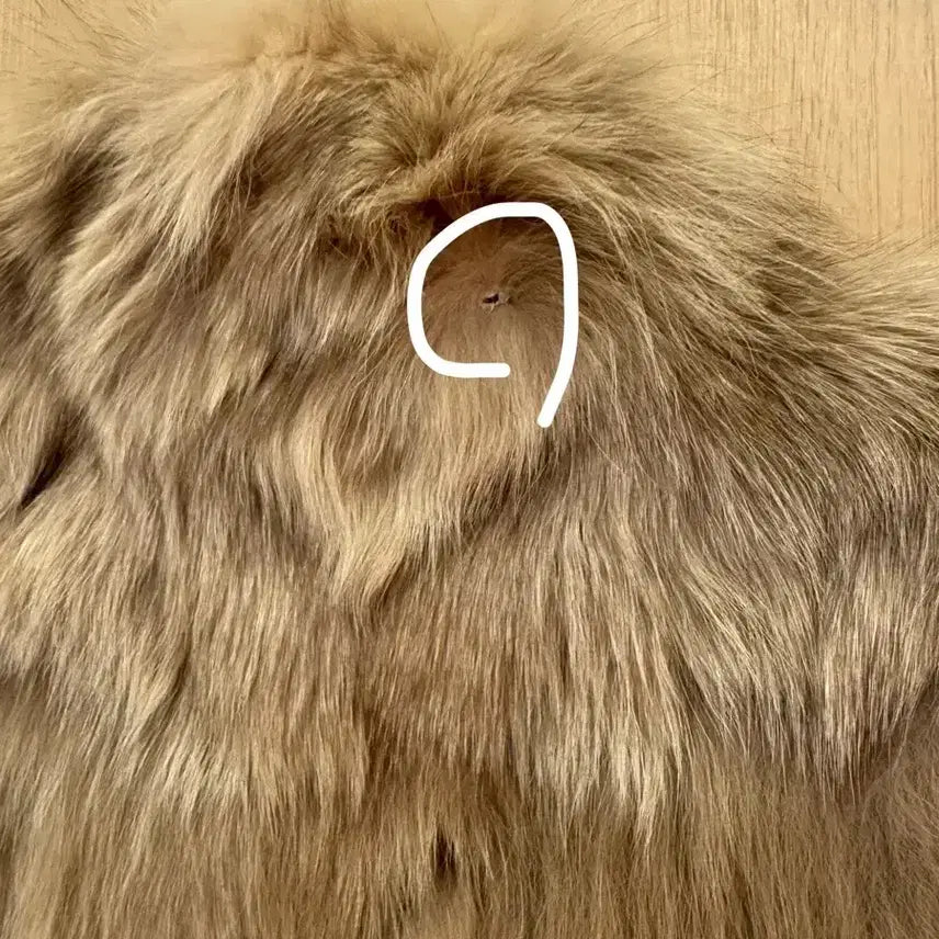 [BUNJANG] Fox Fur Vest (Size 55) / 폭스퍼베스트55