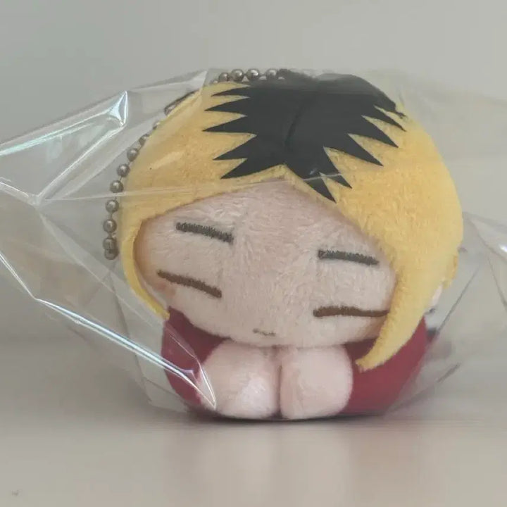 [BUNJANG] Haikyu Kenma Hug Character / 하이큐 켄마 허그캬라