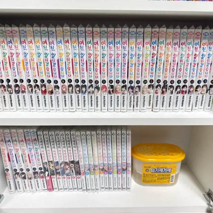 [BUNJANG] Girlfriend, Borrowed 1-41 Complete Set / 여친 빌리겠습니다 1-41 전권