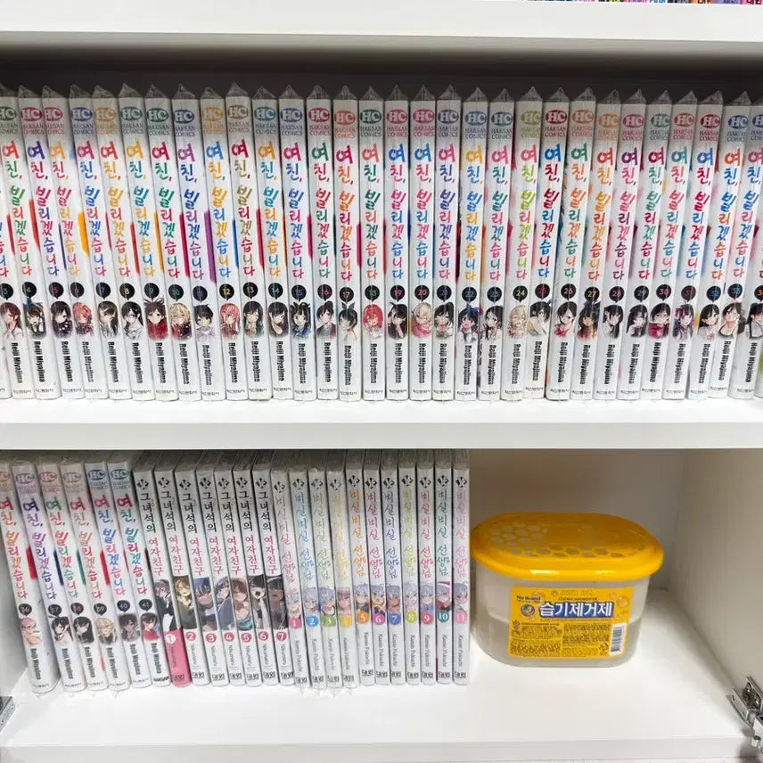 [BUNJANG] Girlfriend, Borrowed 1-41 Complete Set / 여친 빌리겠습니다 1-41 전권