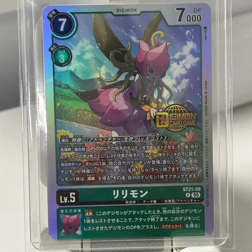 [BUNJANG] Digimon Card Bundle Set / 디지몬카드 9장 일괄