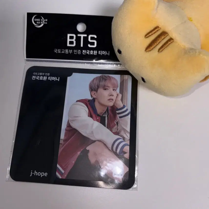 [BUNJANG] BTS J-Hope Spring Day T-Money Card / BTS 방탄 한정판 봄날 티머니 - 호석