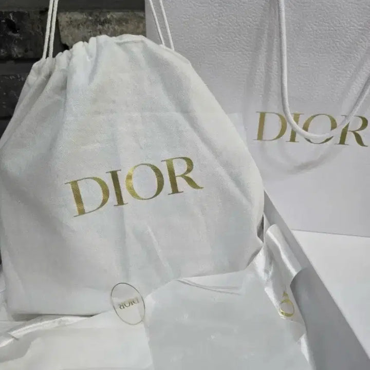 [BUNJANG] Dior Oblique Book Tote Mini Bag / 디올 오블리크 북토트 미니