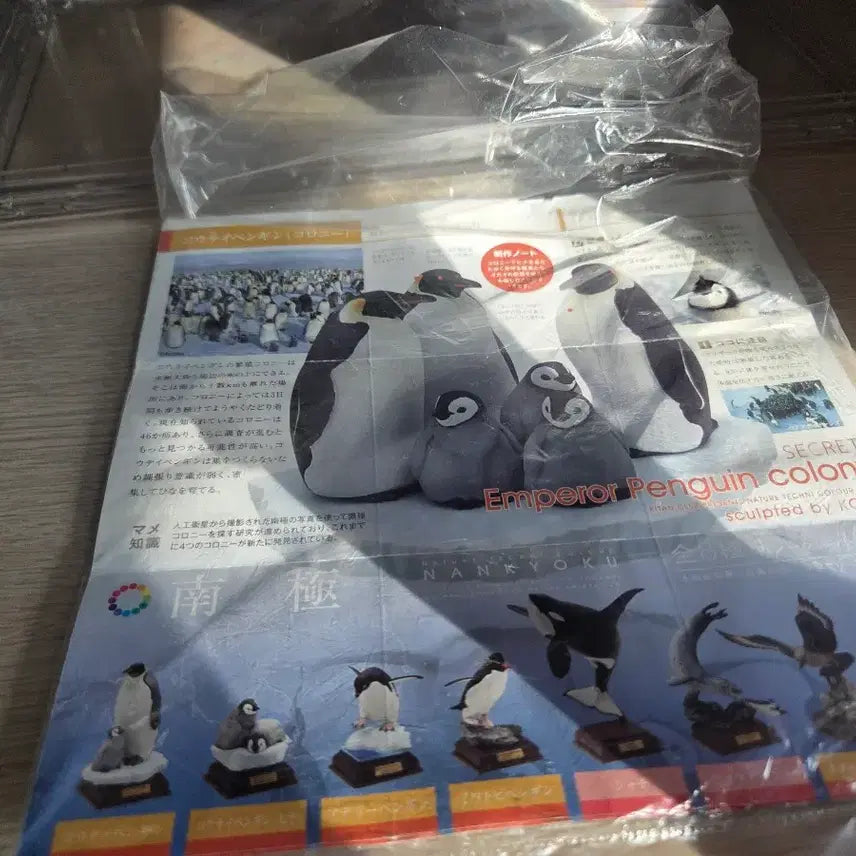 [BUNJANG] Nature Technical Color Antarctic 8-Piece Set (Secret) / 네이처테크니컬러 남극 8종 세트 시크릿 포함 구판