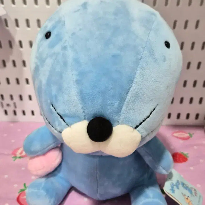 [BUNJANG] Bono Bono 2016 Plush Doll / 2016 고전 인형 보노보노 봉제인형