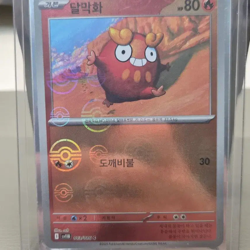 [BUNJANG] Pokemon Darumaka Card (Mirror) / 포켓몬 달막화 카드 ( 볼 미러 )