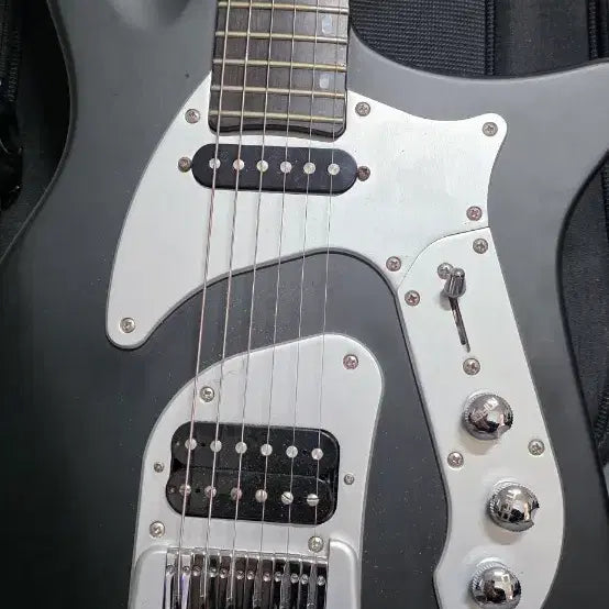 [BUNJANG] Mauroizzo Design Schecter Guitar / 마다로조 Mauroizzo Design 판매합니다.