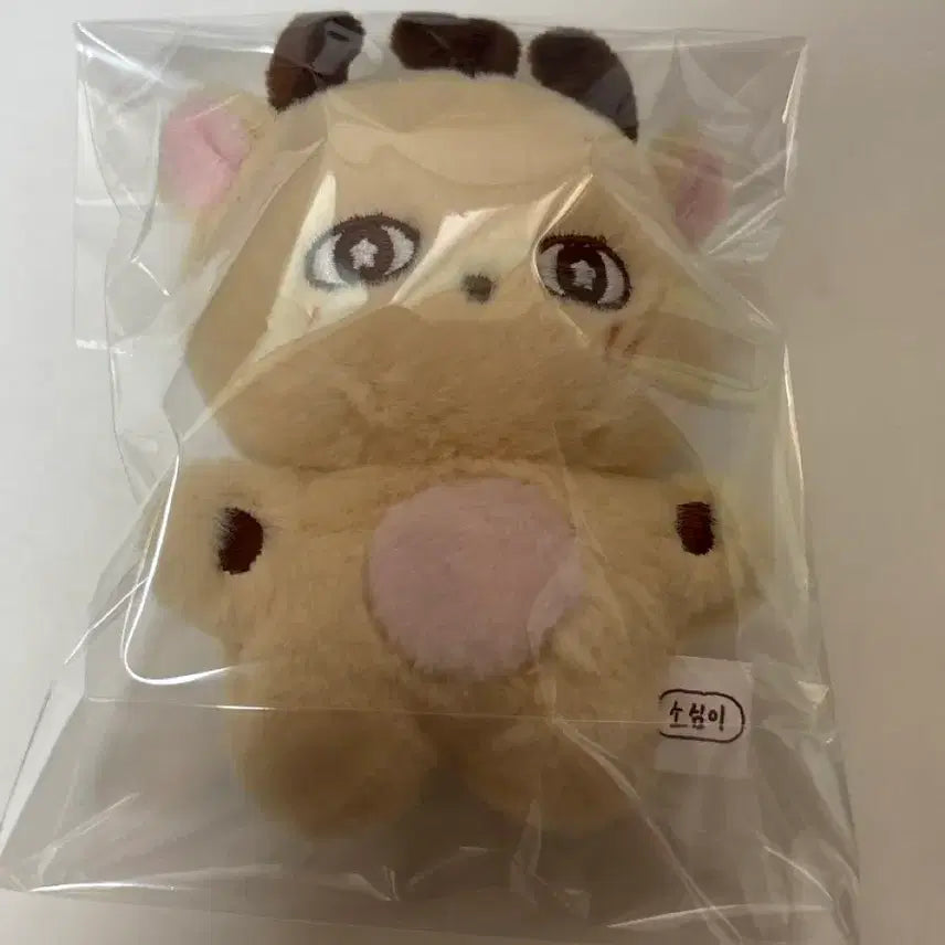 [BUNJANG] Park Jihoon SoSomi Doll / 3일 뒤 삭제 박지훈 소심이 판매 합니다