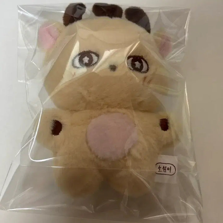 [BUNJANG] Park Jihoon SoSomi Doll / 3일 뒤 삭제 박지훈 소심이 판매 합니다