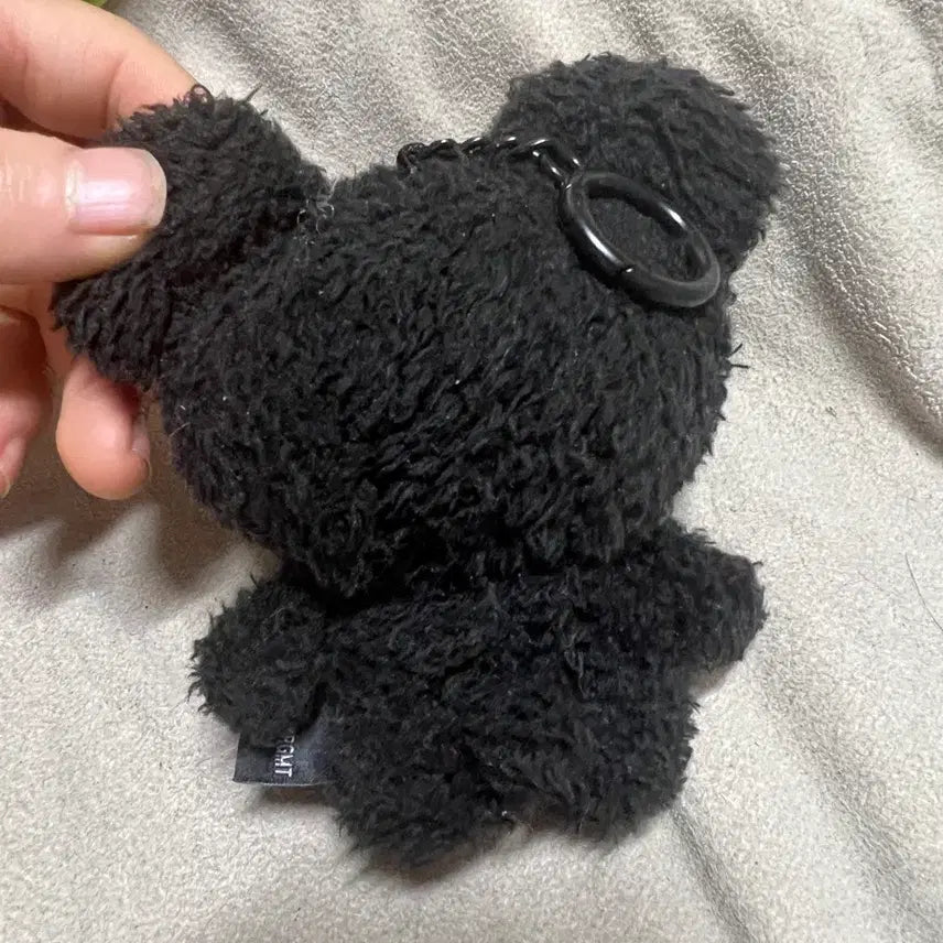 [BUNJANG] BT21 Koala Plush Doll / BT21 프라그먼트 코알라 인형