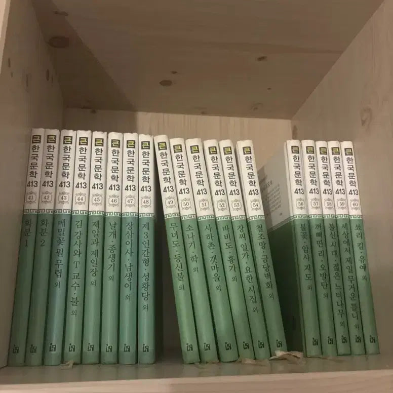 [BUNJANG] Korean Literature 99 Books / (책)한국문학 99권