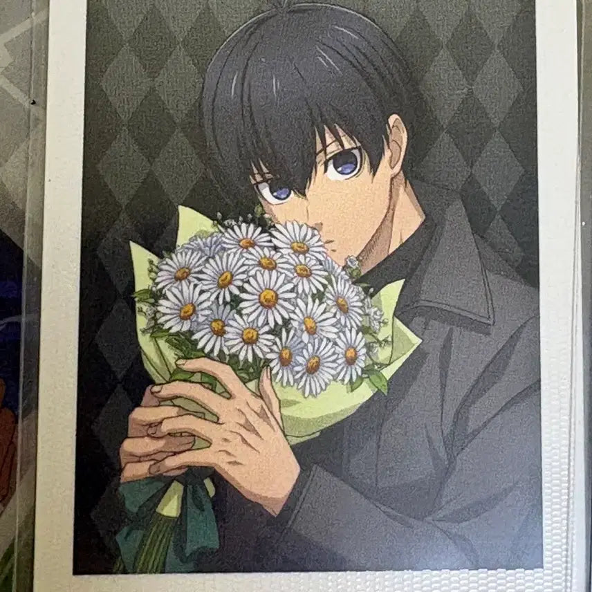 [BUNJANG] Blue Lock Isagi Photocard Bundle Set / 블루록 이사기 카드