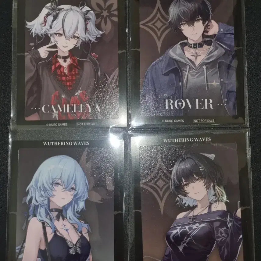 [BUNJANG] Mingjo Focus Freez Photocard Bundle Set / 명조 포커즈 프리즈 포토카드 (파수인 카멜리아 방랑자) 올컬렉 일괄