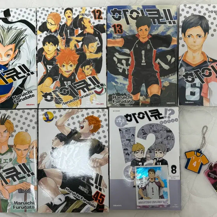 [BUNJANG] Haikyuu Manga Bundle Set / 하이큐 만화책 11-15권+45권+렛츠 하이큐+굿즈 일괄
