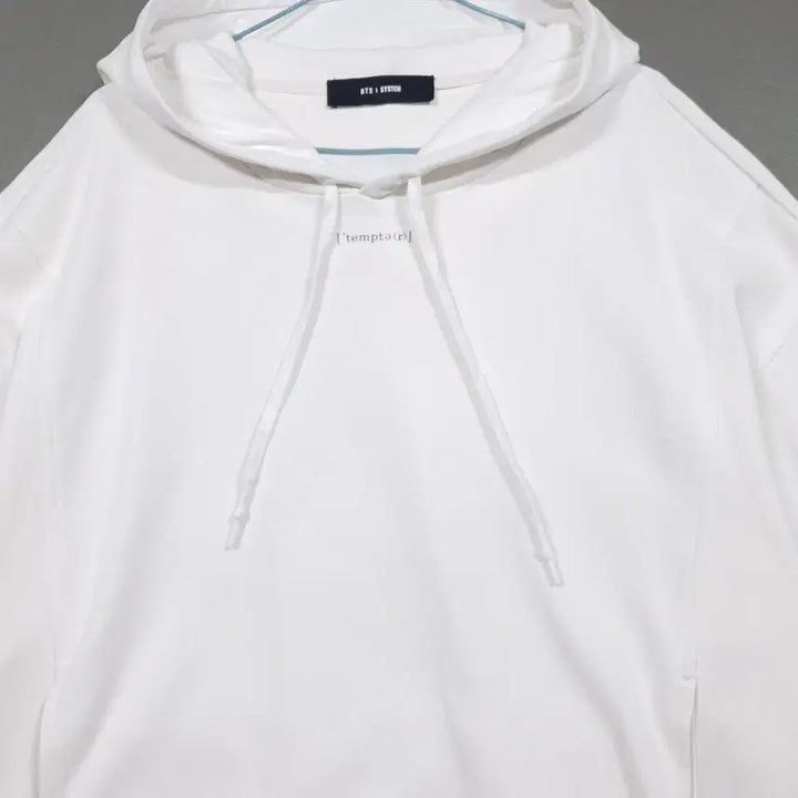[BUNJANG] System Homme X BTS Collaboration Limited Edition Hoodie Sweatshirt / L) 시스템 옴므 X 방탄소년단 BTS 콜라보 한정판 후드티 스웻셔츠