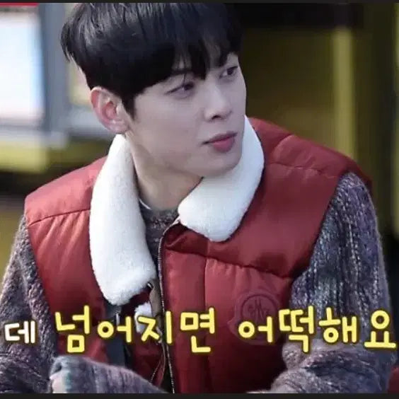 [BUNJANG] Moncler Padded Vest / 몽클레어 패딩조끼