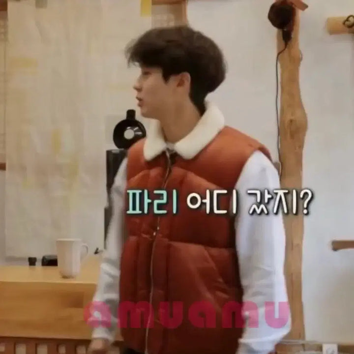 [BUNJANG] Moncler Padded Vest / 몽클레어 패딩조끼