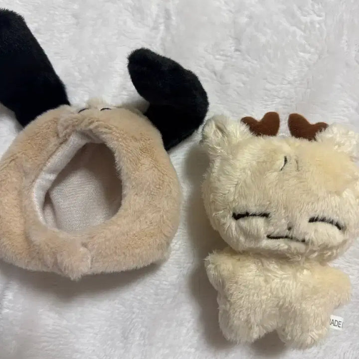 [BUNJANG] Jolmisu Pet / 절미슈