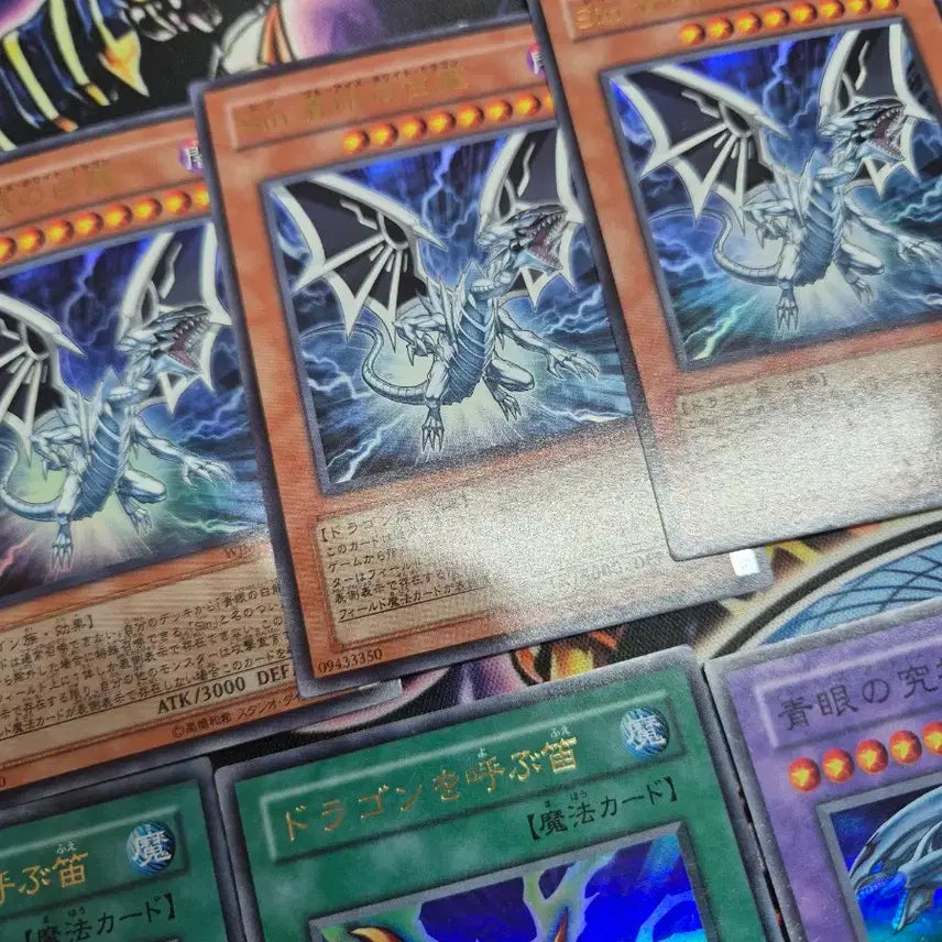 [BUNJANG] Yu-Gi-Oh! Japanese Blue-Eyes White Dragon Card Set / 유희왕 일본판 푸른눈의백룡 세트