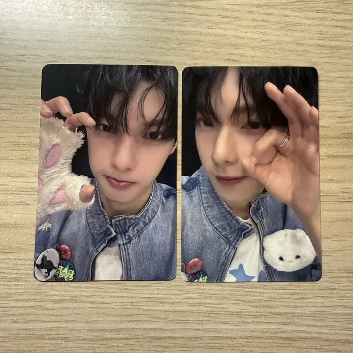 [BUNJANG] Choi Ripley Boys Planet Sugar High Photocard / 최립우 보이즈플래닛 슈가하이 포카