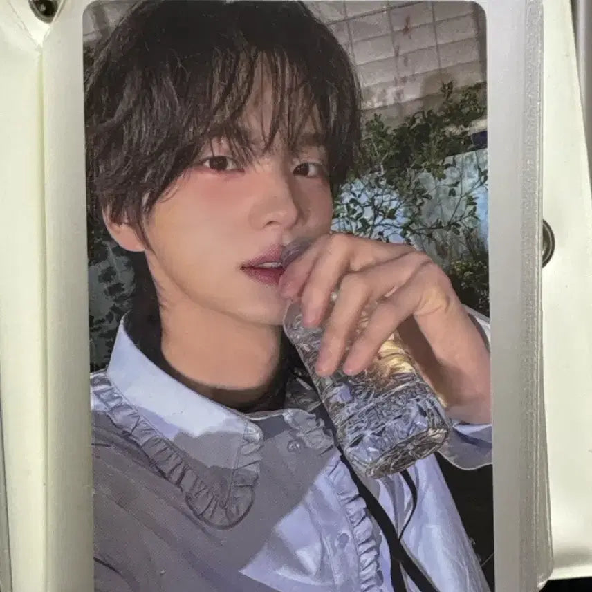 [BUNJANG] TWS Shinyu Re-Meet Today Weverse POB Photocard / 투어스 신유 다시만난오늘 위버스 미공포 특전 포카