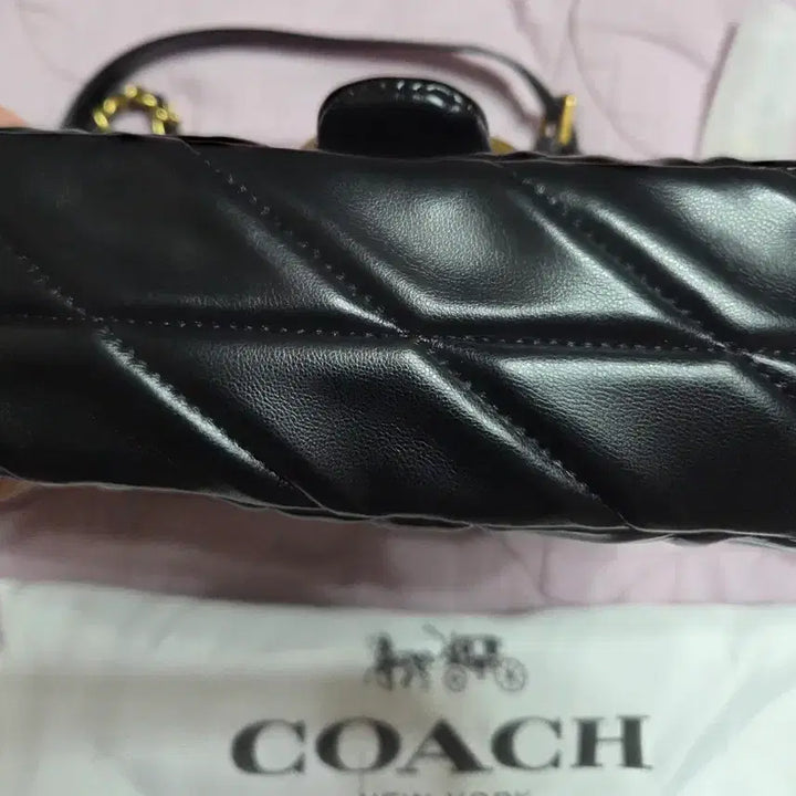 [BUNJANG] Coach Handbag Set / 코치 가방 2개