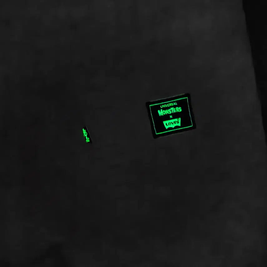 [BUNJANG] Levi's x Universal Monsters Carpenter Pants / [38] 리바이스 x 유니버셜 몬스터즈 콜라보 카펜터 팬츠