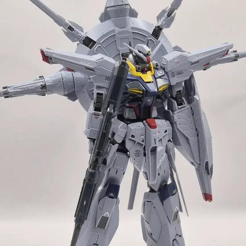 [BUNJANG] Bandai MG Providence Gundam Premium Edition / (중상) MG 프로비던스 건담 프리미엄 에디션 건담 시드 반다이
