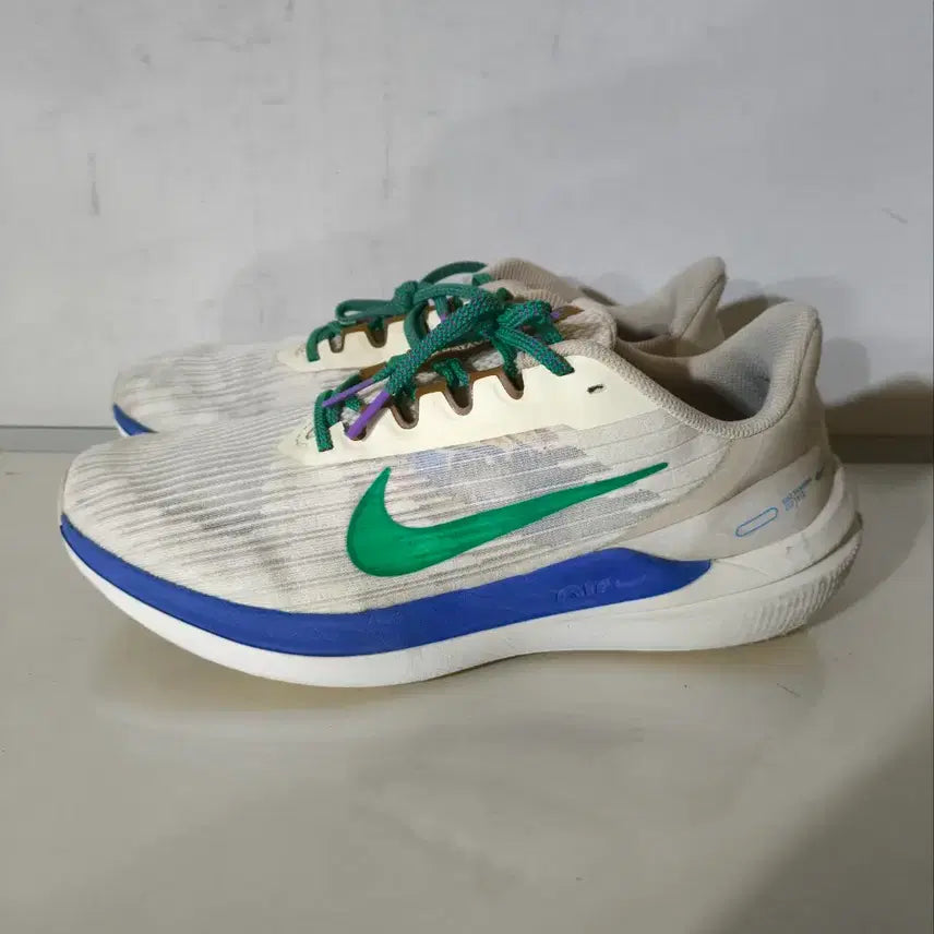 [BUNJANG] Nike Winflo 9 PRM Running Shoes / 280mm 나이키 윈플로 9 prm 런닝화