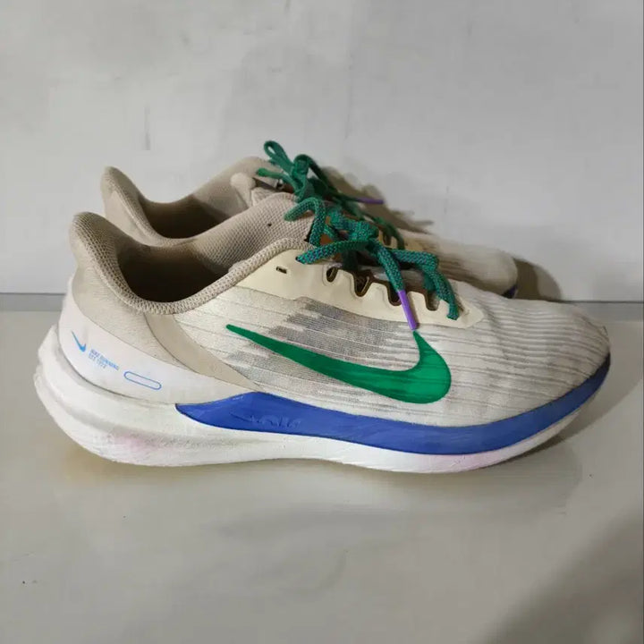 [BUNJANG] Nike Winflo 9 PRM Running Shoes / 280mm 나이키 윈플로 9 prm 런닝화