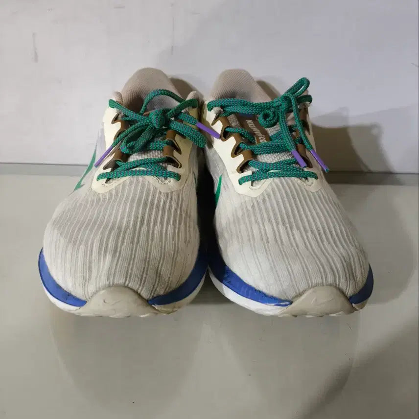 [BUNJANG] Nike Winflo 9 PRM Running Shoes / 280mm 나이키 윈플로 9 prm 런닝화