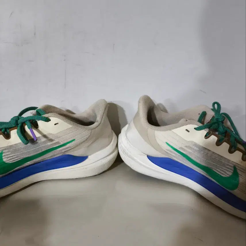 [BUNJANG] Nike Winflo 9 PRM Running Shoes / 280mm 나이키 윈플로 9 prm 런닝화